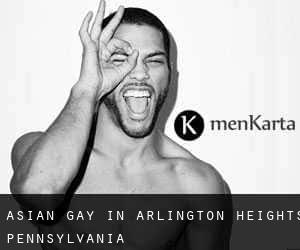 Asian Gay in Arlington Heights (Pennsylvania)