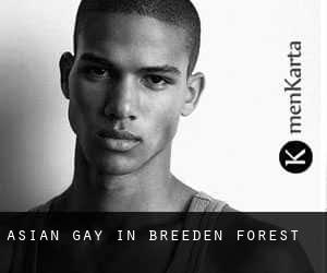 Asian Gay in Breeden Forest