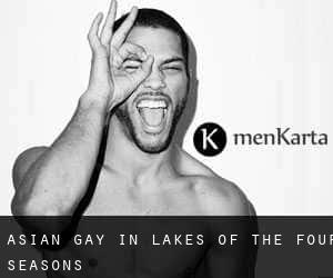 Asian Gay in Lakes of the Four Seasons