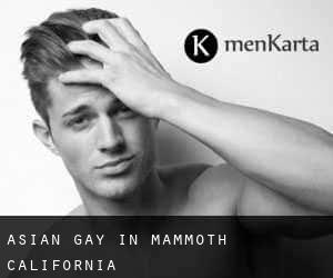 Asian Gay in Mammoth (California)