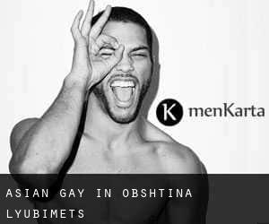 Asian Gay in Obshtina Lyubimets
