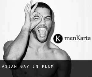 Asian Gay in Plum