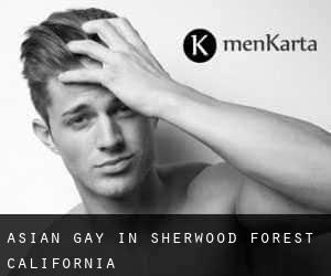 Asian Gay in Sherwood Forest (California)