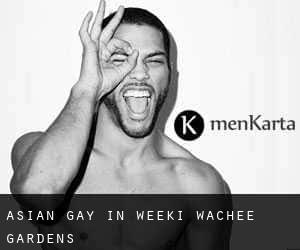 Asian Gay in Weeki Wachee Gardens