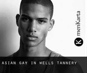 Asian Gay in Wells Tannery