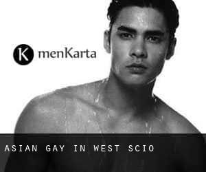 Asian Gay in West Scio