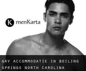 Gay Accommodatie in Boiling Springs (North Carolina)