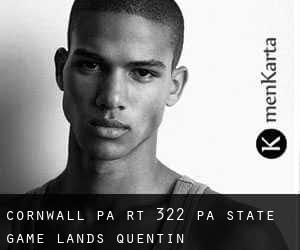 Cornwall PA Rt 322 PA State Game Lands (Quentin)