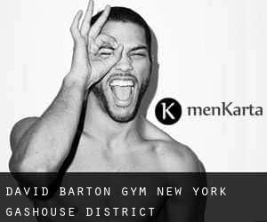 David Barton Gym New York (Gashouse District)