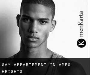Gay Appartement in Ames Heights