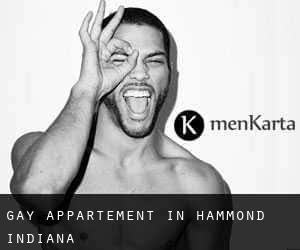 Gay Appartement in Hammond (Indiana)