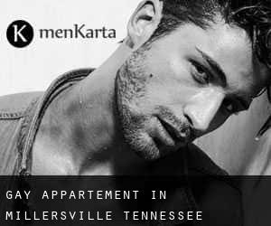 Gay Appartement in Millersville (Tennessee)