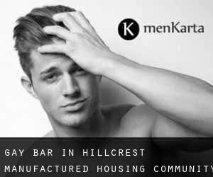 Gay Bar in Hillcrest Manufactured Housing Community
