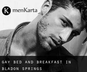 Gay Bed and Breakfast in Bladon Springs