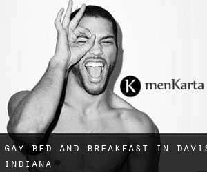 Gay Bed and Breakfast in Davis (Indiana)