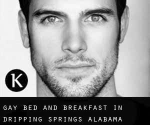 Gay Bed and Breakfast in Dripping Springs (Alabama)
