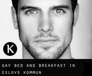 Gay Bed and Breakfast in Eslövs Kommun