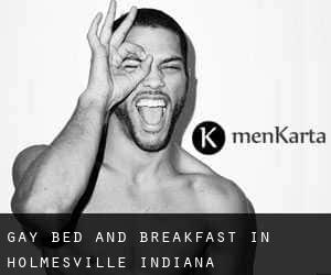 Gay Bed and Breakfast in Holmesville (Indiana)