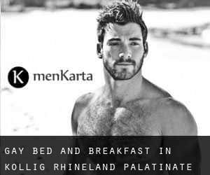 Gay Bed and Breakfast in Kollig (Rhineland-Palatinate)