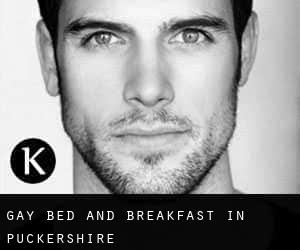 Gay Bed and Breakfast in Puckershire