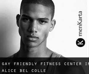 Gay Friendly Fitness Center in Alice Bel Colle