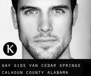 gay gids van Cedar Springs (Calhoun County, Alabama)