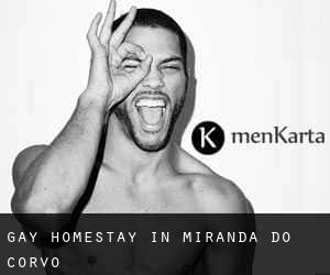 Gay Homestay in Miranda do Corvo