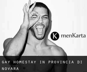 Gay Homestay in Provincia di Novara