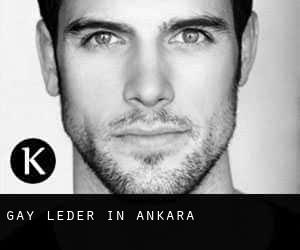 Gay Leder in Ankara