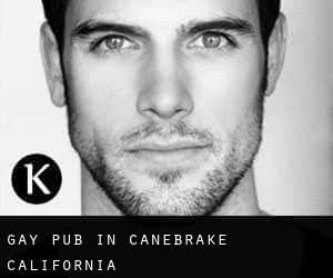 Gay Pub in Canebrake (California)
