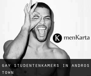 Gay Studentenkamers in Andros Town