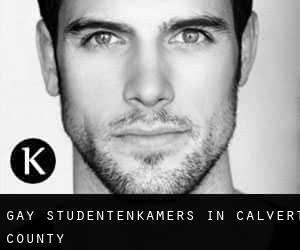 Gay Studentenkamers in Calvert County