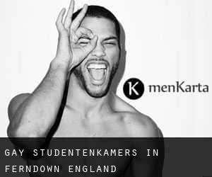 Gay Studentenkamers in Ferndown (England)