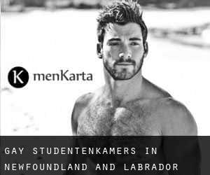 Gay Studentenkamers in Newfoundland and Labrador
