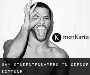 Gay Studentenkamers in Odense Kommune