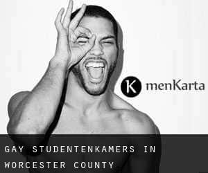 Gay Studentenkamers in Worcester County