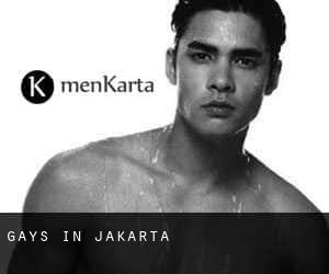 Gays in Jakarta