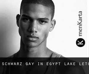 Schwarz Gay in Egypt Lake-Leto