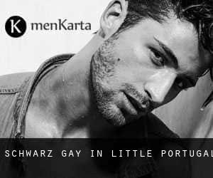 Schwarz Gay in Little Portugal