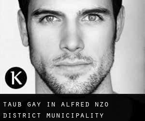 Taub Gay in Alfred Nzo District Municipality