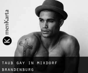 Taub Gay in Mixdorf (Brandenburg)